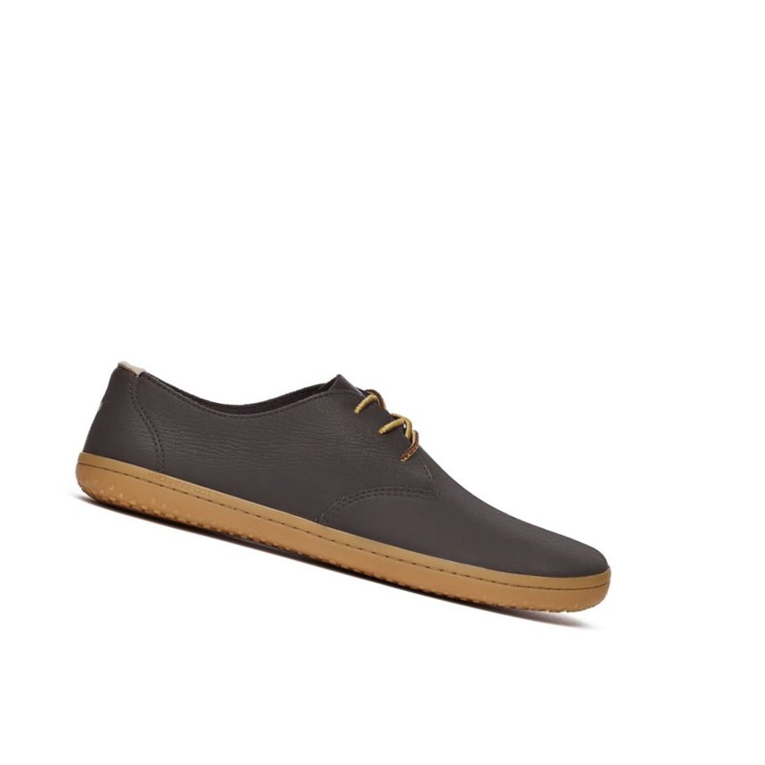 Vivobarefoot Ra II Schnürschuhe Herren Braun | 61892-ZKLX