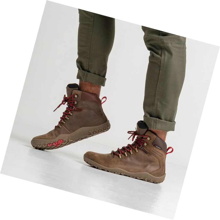 Vivobarefoot Tracker Firm Ground Wanderstiefel Herren Dunkelbraun | 71982-PFQE