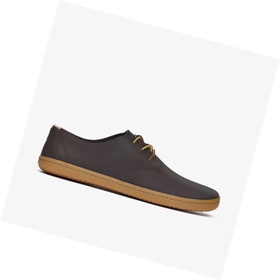 Vivobarefoot Ra II Schnürschuhe Herren Dunkelbraun | 36157-ZIMX